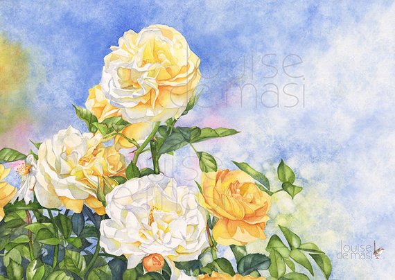 570x404 Yellow Rose Watercolor Painting Print R23517 5 By 7 Size Etsy - Yellow Rose Watercolor