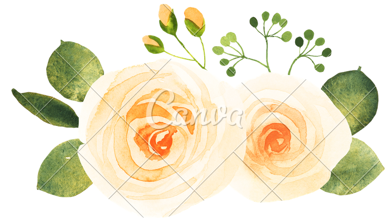 800x461 Yellow Roses Watercolor - Yellow Rose Watercolor