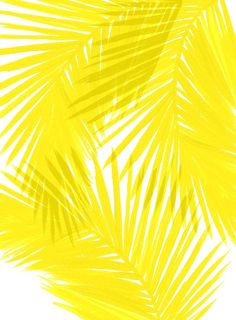236x320 Yellow Watercolor Background Watercolor Background - Yellow Watercolor