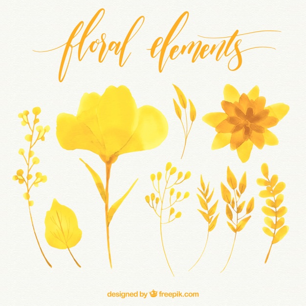 626x626 Pack Of Yellow Watercolor Flowers Vector Free Download - Yellow Watercolor Flowers