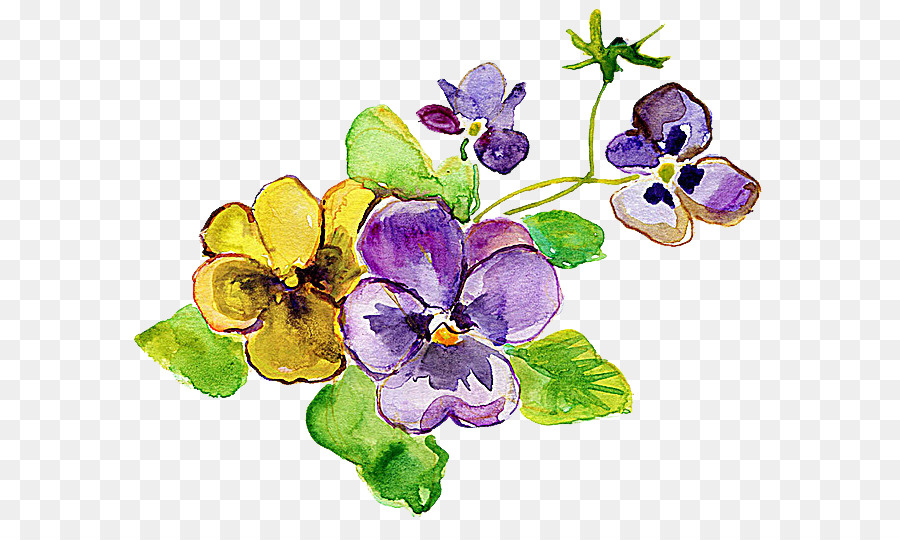 900x540 Pansy Violet Flower Yellow Photography - Yellow Watercolor Flowers