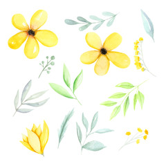 240x240 Search Photos Watercolor Flowers - Yellow Watercolor Flowers