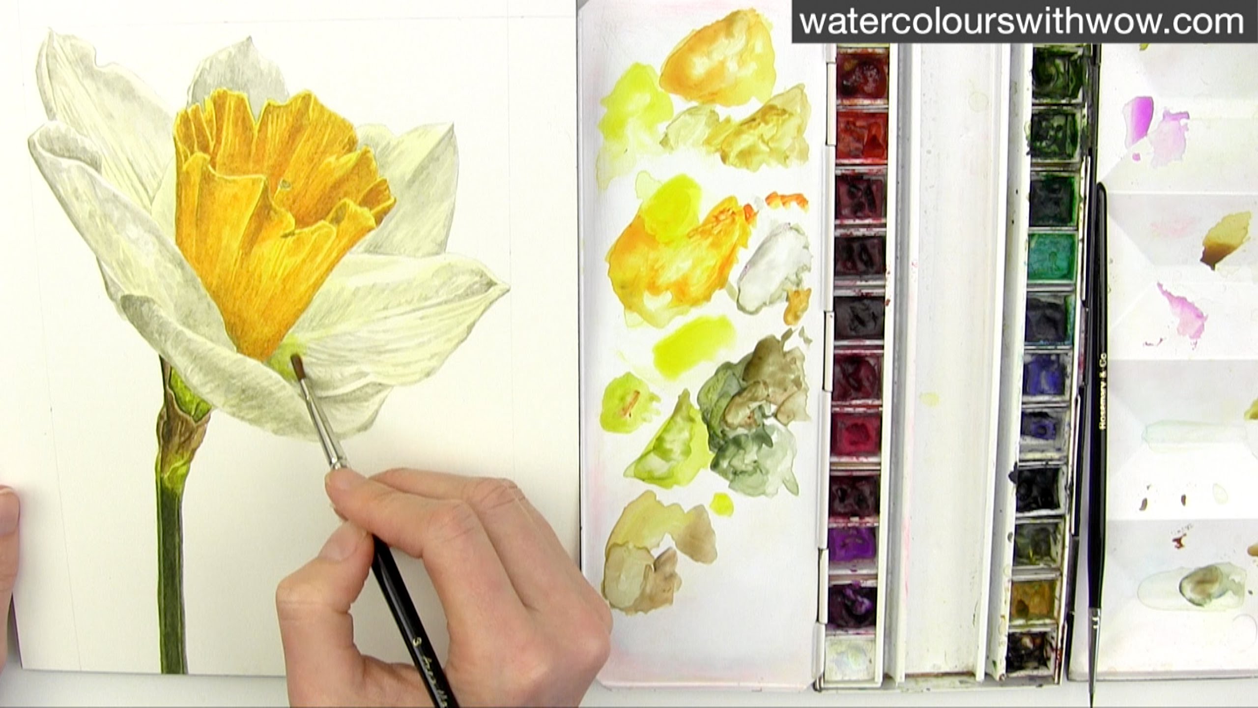 2560x1440 Shadows And Yellow In Watercolor With Anna Mason - Yellow Watercolor Flowers