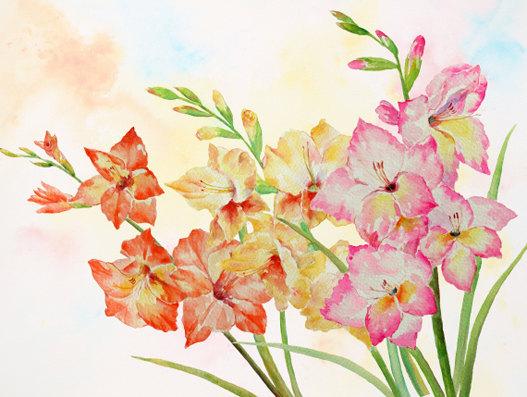 527x397 Watercolour Flowers White, Yellow, Pink, Purple Gladiolus - Yellow Watercolor Flowers