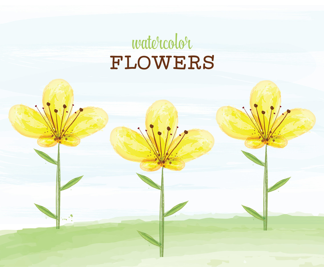 1136x936 Yellow Watercolor Flowers Vector Vector Art Amp Graphics - Yellow Watercolor Flowers