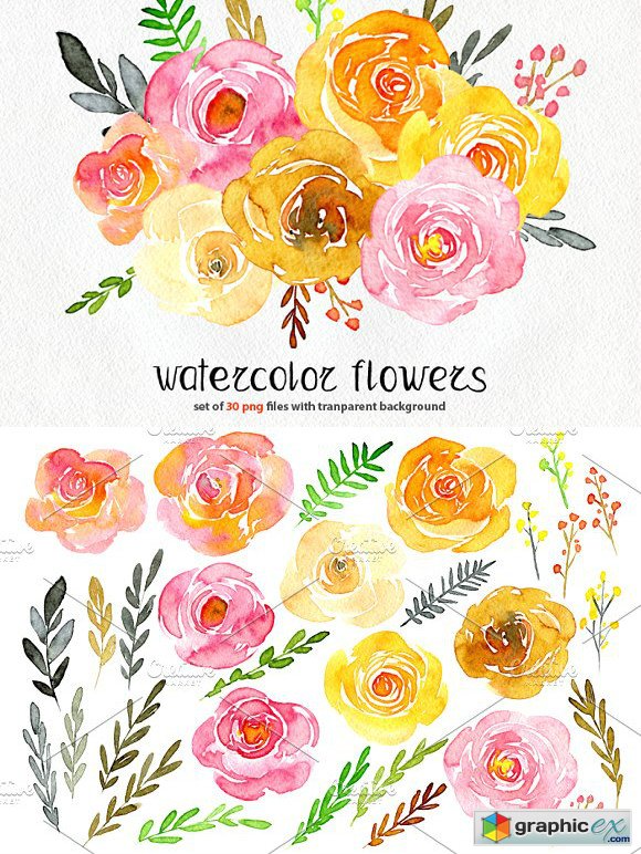 580x772 Yellow Amp Pink Watercolor Flowers Free Download Vector Stock - Yellow Watercolor Flowers