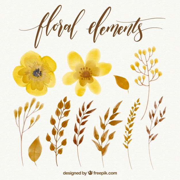 626x626 Collection Of Yellow Watercolor Flowers Vector Free Download - Yellow Watercolor Flowers