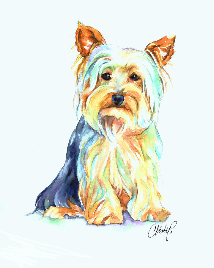 720x900 Yorkie Dog Portrait Painting By Christy Freeman - Yorkie Watercolor