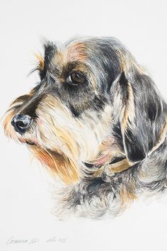 236x354 Yorkie Print, Yorkie Watercolor, Yorkshire Terrier Art, Yorkie - Yorkie Watercolor
