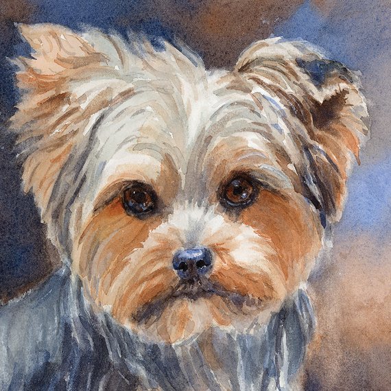 570x570 Yorkie Printyorkie Watercoloryorkshire Terrier Artyorkie - Yorkie Watercolor