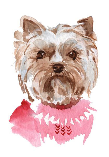 420x600 Adorable Watercolor Yorkie Puppy Dog In Pink Sweater - Yorkie Watercolor