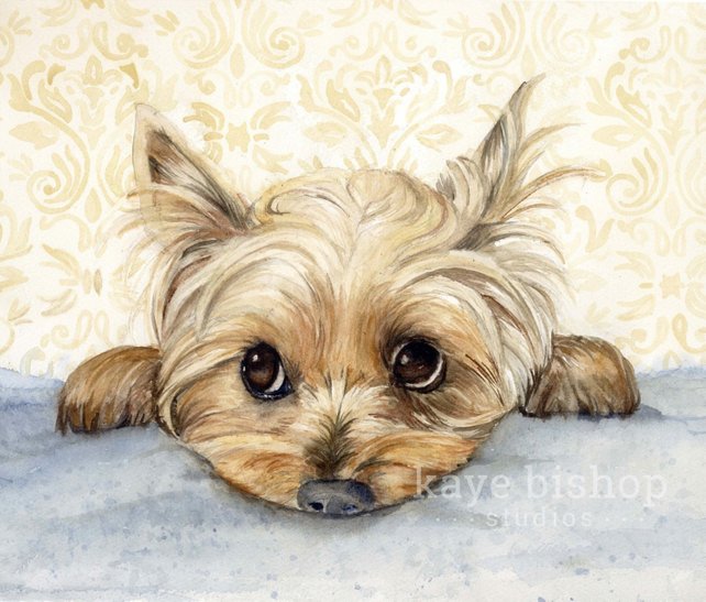 642x547 Yorkie Watercolor Painting Animal Art Yorkie Painting Etsy - Yorkie Watercolor