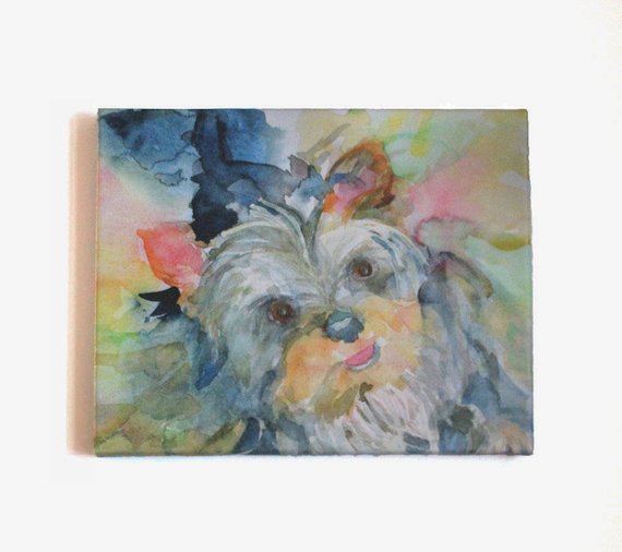 570x506 Yorkie Watercolor Yorkshire Terrier Stretched Canvas Giclee Etsy - Yorkie Watercolor