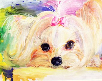 340x270 Yorkie Watercolor Etsy - Yorkie Watercolor