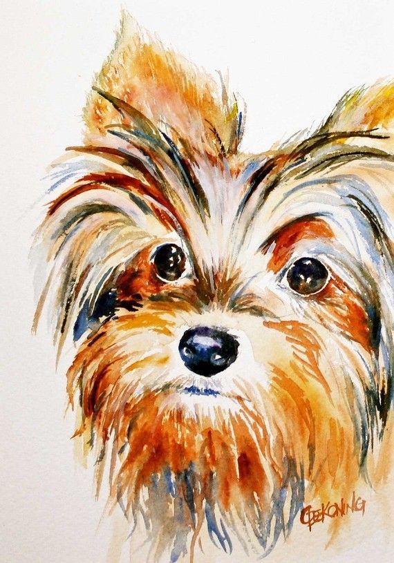 570x815 Yorkie Watercolor Yorkie Lovers In 2018 Watercolor - Yorkie Watercolor