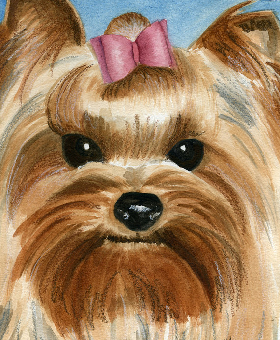 570x691 Yorkie Watercolor Painting Custom Pet Portrait Products - Yorkie Watercolor