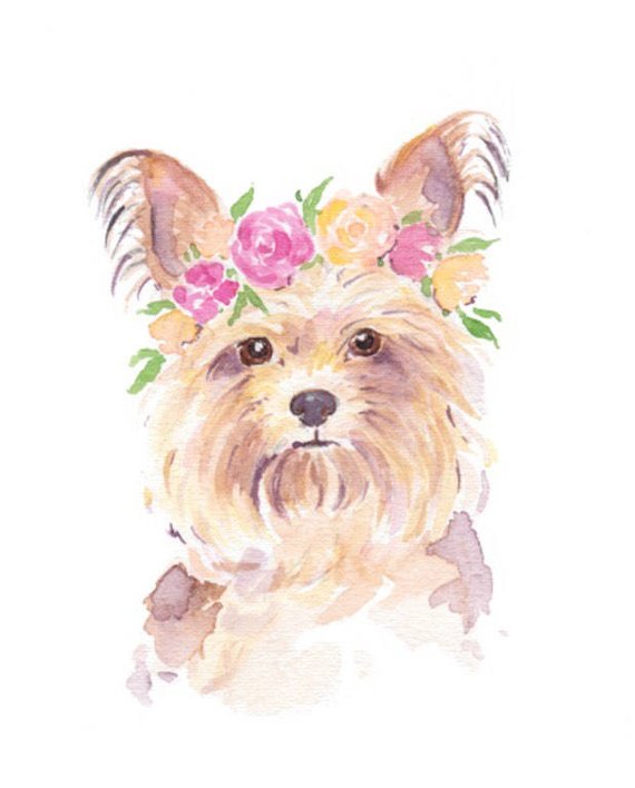 570x708 Yorkie Watercolor Yorkie Printable Dog Art Print Yorkie Etsy - Yorkie Watercolor