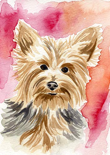 354x500 Yorkie Dog Watercolor Painting Size 5 X 7 Handmade - Yorkie Watercolor