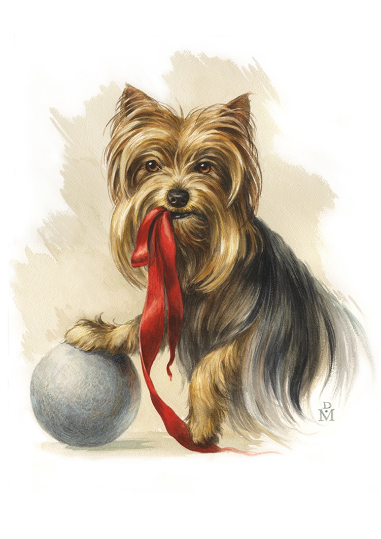 751x1064 Watercolor Portrait Gallery Pet Portraits By Diane Mastel - Yorkshire Terrier Watercolor