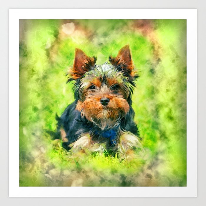 700x700 Watercolor Art Yorkshire Terrier Art Print By K9printart Society6 - Yorkshire Terrier Watercolor