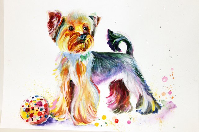642x428 Yorkshire Terrier Dog Watercolor Painting Art Print On Canvas Etsy - Yorkshire Terrier Watercolor