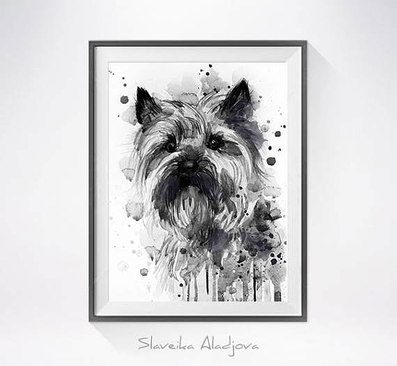 570x525 Cairn Terrier Watercolor Painting Print - Yorkshire Terrier Watercolor