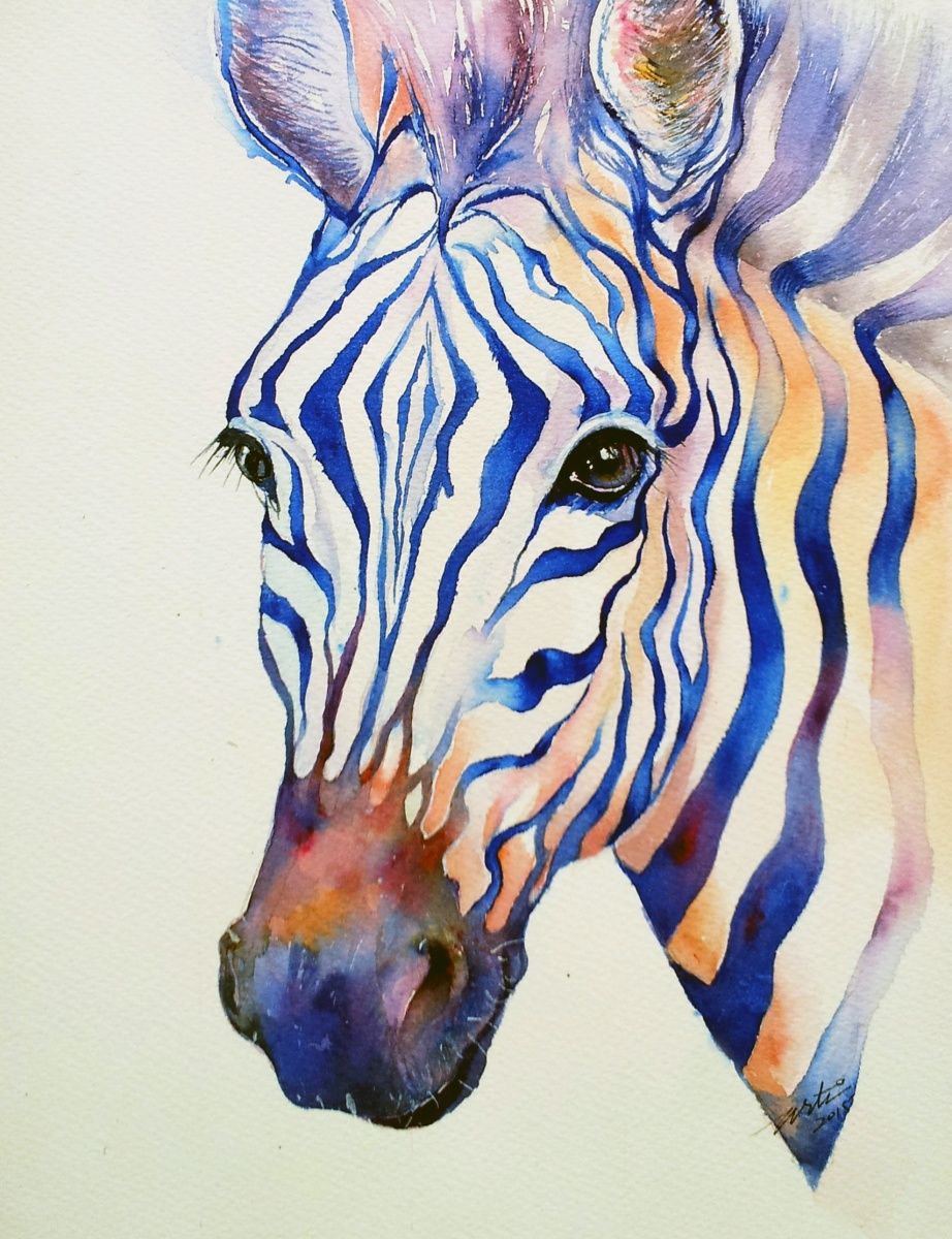 922x1200 Intense Zebra Art, Drawings Amp Illustrations - Zebra Watercolor
