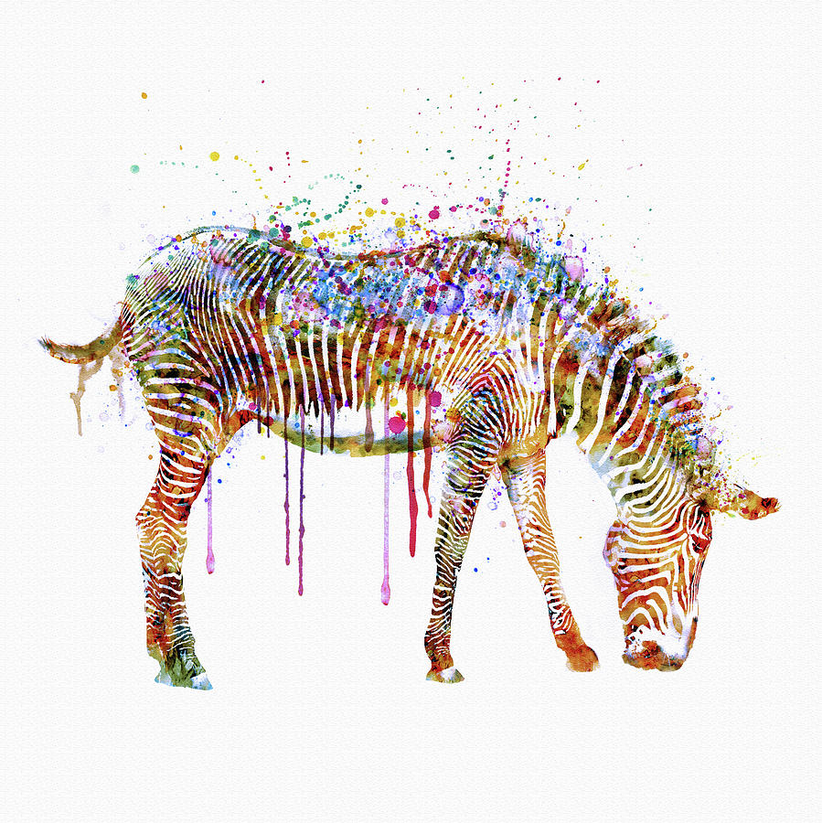 899x900 Zebra Watercolor Painting Painting By Marian Voicu - Zebra Watercolor