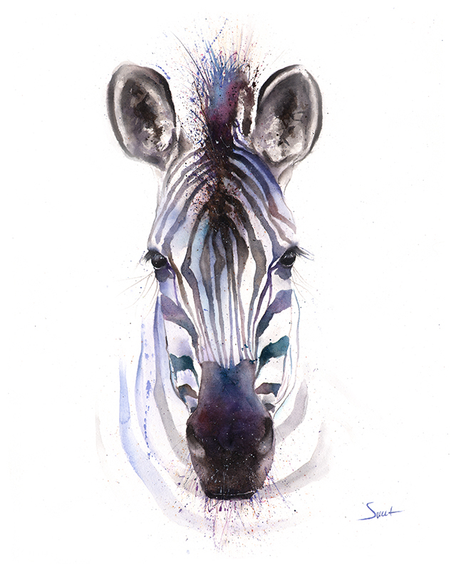 640x800 Zebra Watercolor Print 2 Watercolor Animal Paintings - Zebra Watercolor