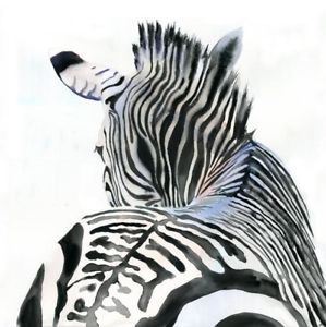 299x300 Giclee Print Zebra Africa Wildlife Zoo Painting Art Watercolor - Zebra Watercolor