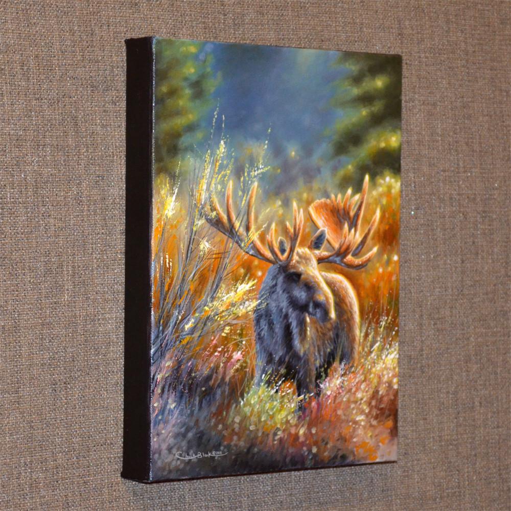 1000x1000 Original Wildlife Art Moose Painting - 11x14 Painting