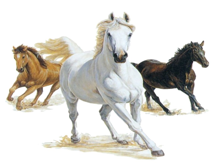 926x711 3 Horses Running Clipart - 3 Horses Painting