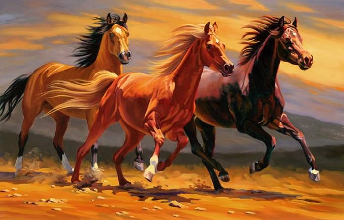 700x449 3 Pferde Lt3 Kone Horse, Horse Paintings And Horse Art - 3 Horses Painting