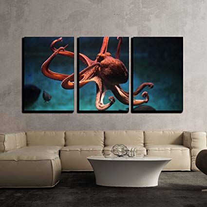 425x425 Wall26 - 3 Piece Octopus Painting