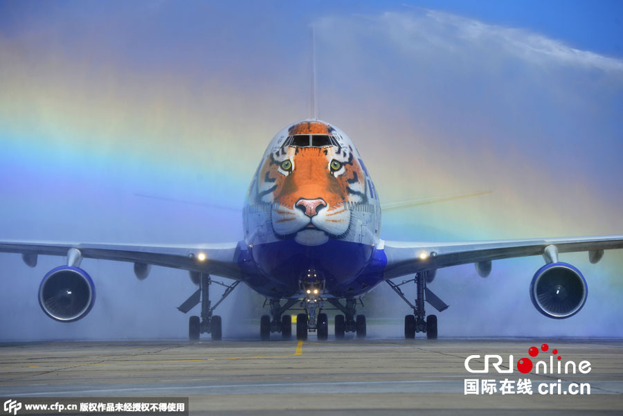 900x601 Plane Painted With Tiger To Celebrate Tiger Day - 747 Painting
