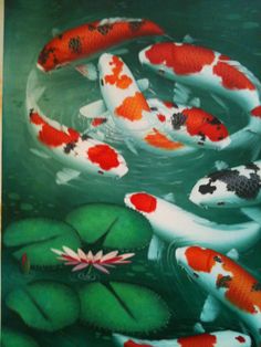 236x314 Dandan Sa - 9 Koi Fish Painting