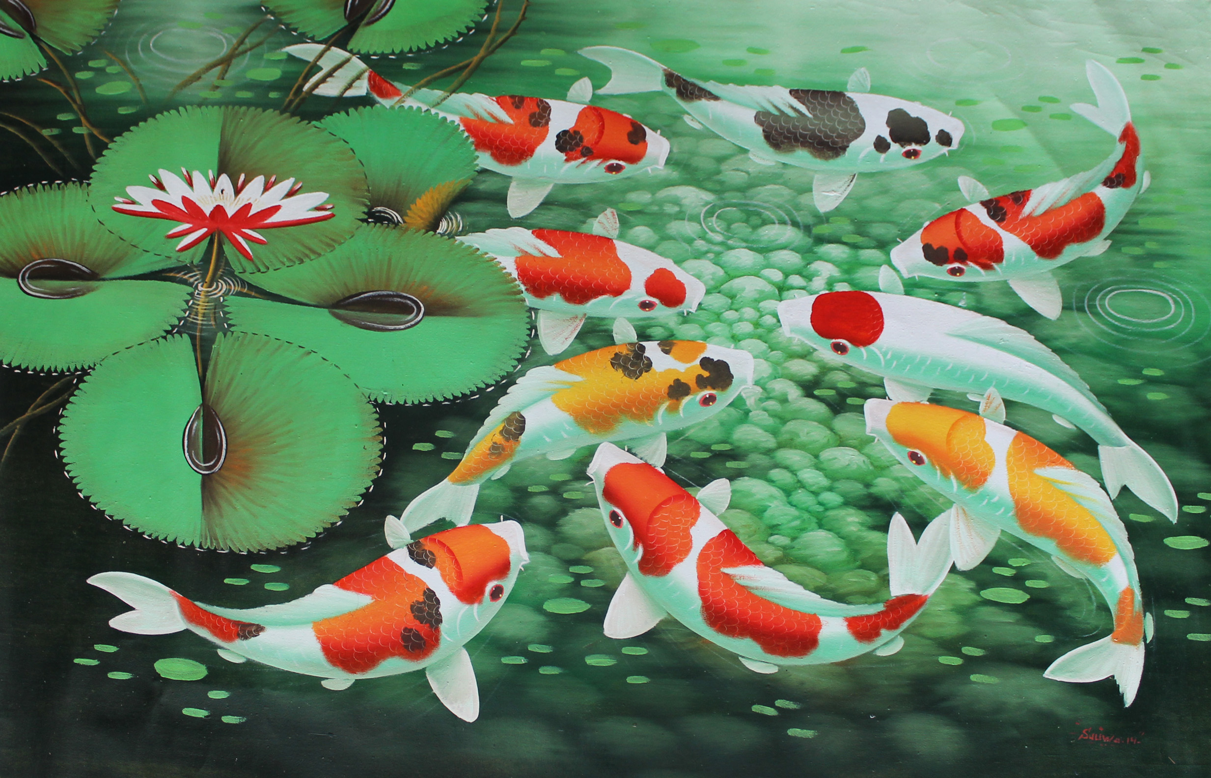 Koi Fish Painting Wallpaper 4 Asahi Fancy Koi, Inc - 9 Koi Fish Painting. 