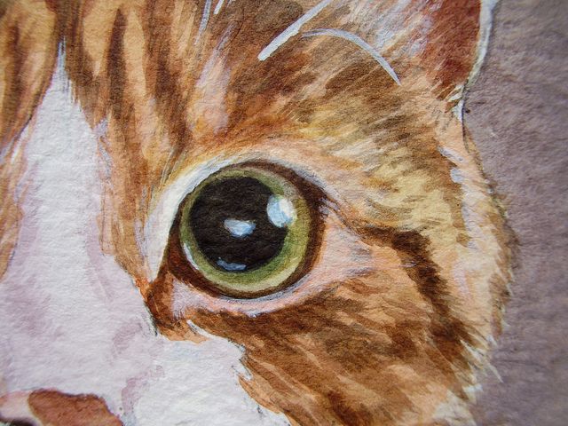 640x480 Painting A Cat My Slideshow Tutorial Acrylics - A Cat Painting