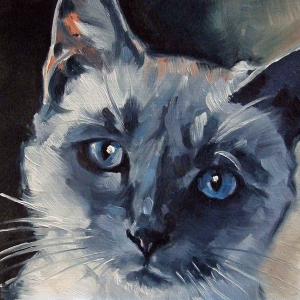 600x600 Paintings From The Parlor Blue Eyed Siamese Cat - A Cat Painting