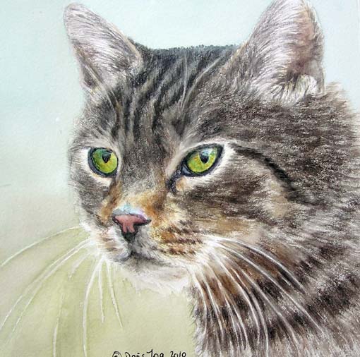 510x506 Cat Paintings In Watercolor, Cats, Kittens, - A Cat Painting