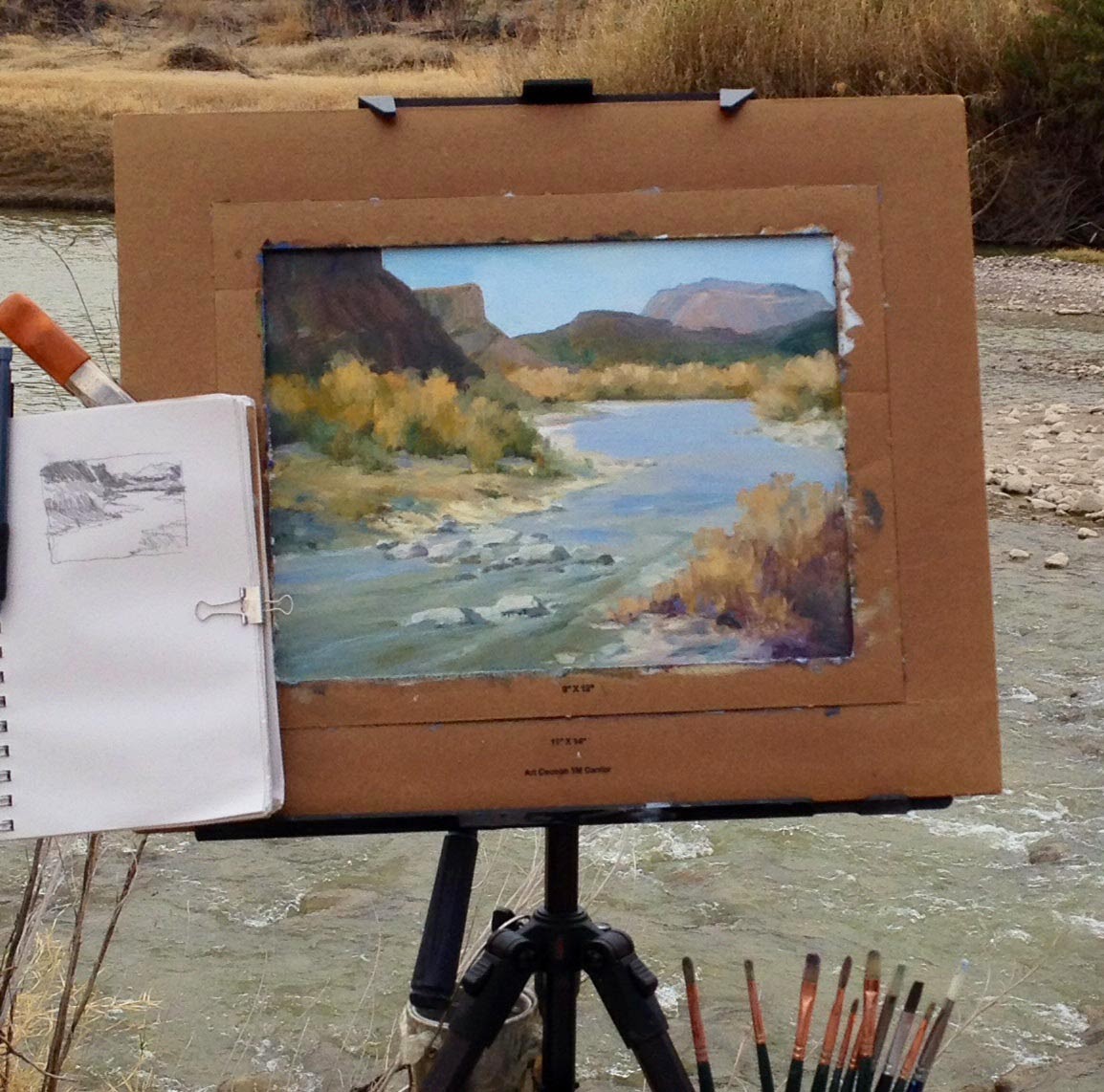 1154x1142 Tina Bohlman Fine Art Watercolor Amp Oil Painting In Big Bend - A Day In The Park Painting