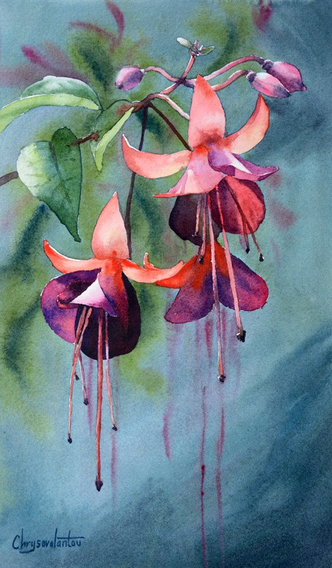 467x800 Flower Paintings Chrysovalantou Mavroudis Watercolour Artist - A Flower Painting