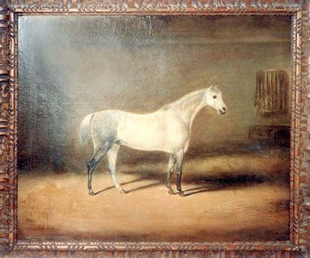 640x533 A Painting Of A Hores By The Early Edinburgh Photographer - A Painting