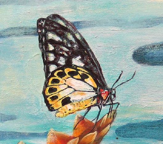 529x466 Birdwing Butterfly - A Painting