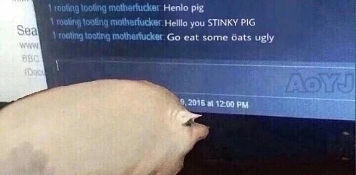 720x354 How Pigs That Love Oats Became A Meme That's About To Be Everywhere - A Pair Of Pigs Painting