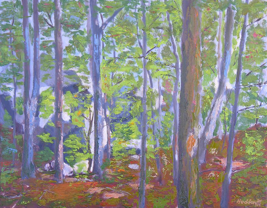 900x701 A Walk In The Woods Painting By Robert P Hedden - A Walk In The Woods Painting