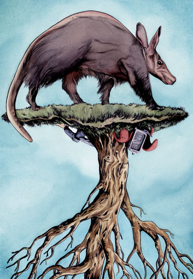 398x576 Aardvark Island Joel Kimmel - Aardvark Painting