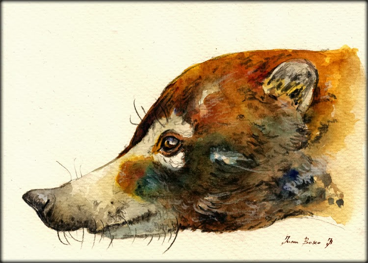 750x536 San Martin Arts Crafts Coati - Aardvark Painting