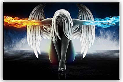 425x283 Fire And Ice Water Angel Wall Art For Living Room, Sz - Abstract Anime Painting