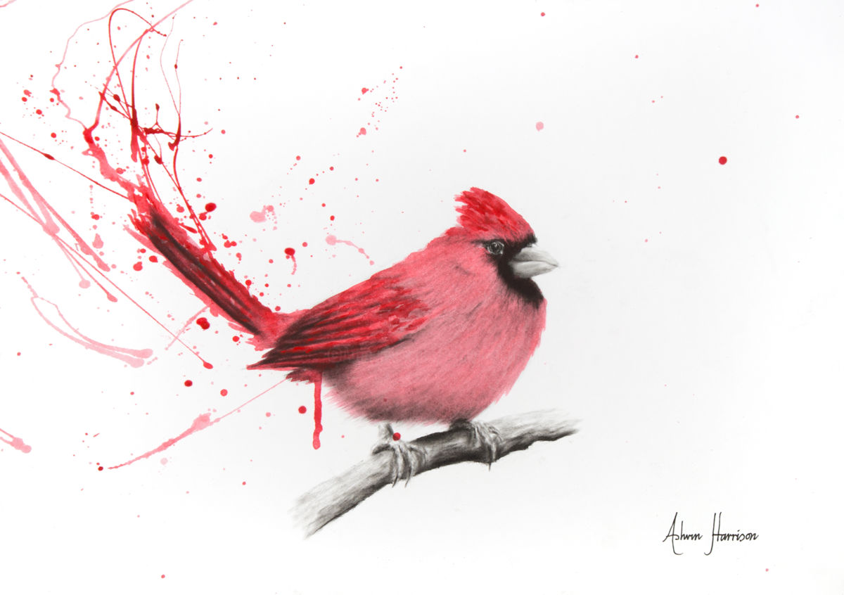 1200x846 Curious Cardinal (Ashvin Harrison) - Abstract Cardinal Painting